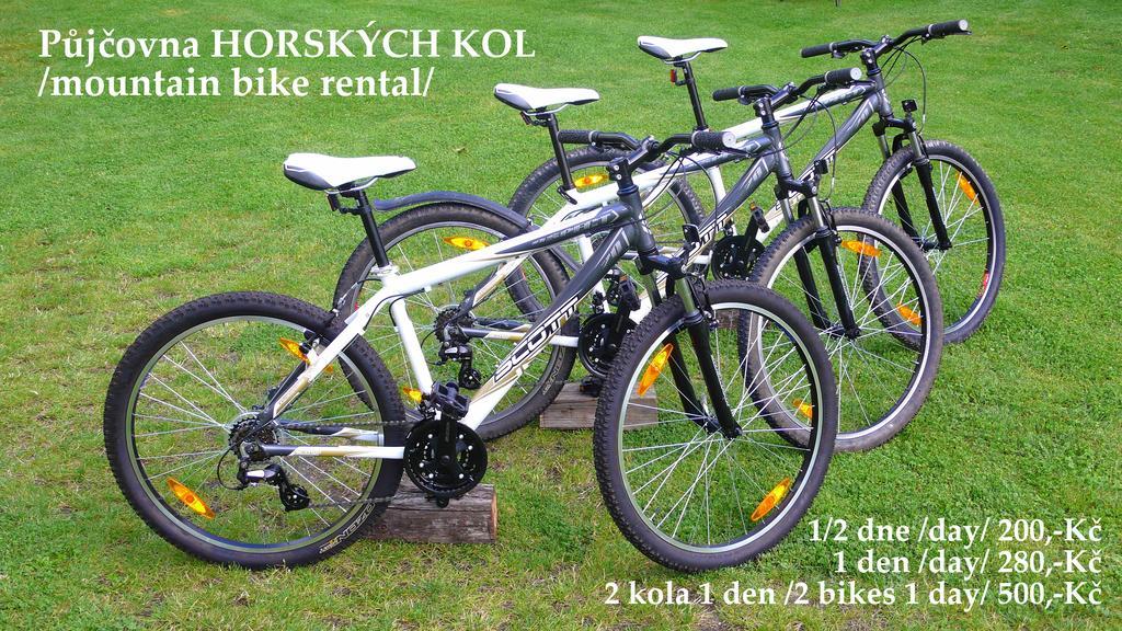 Penzion Fousek Zvikovske Podhradi Exterior photo